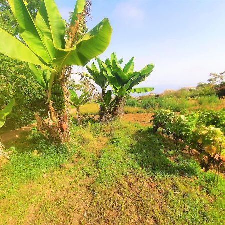 Casa En Finca Ecologica - Wifi ラ・オロタバ エクステリア 写真