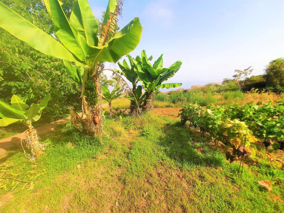 Casa En Finca Ecologica - Wifi ラ・オロタバ エクステリア 写真