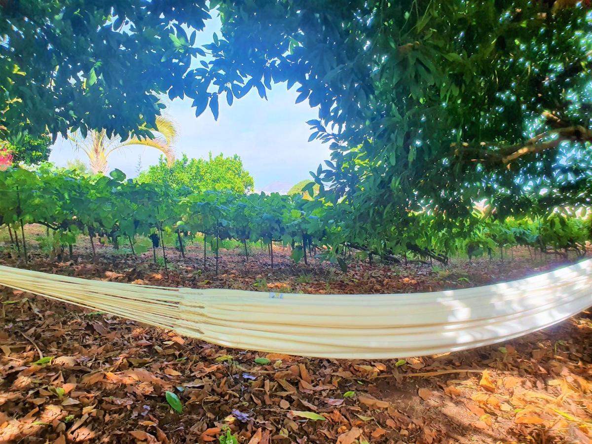 Casa En Finca Ecologica - Wifi ラ・オロタバ エクステリア 写真