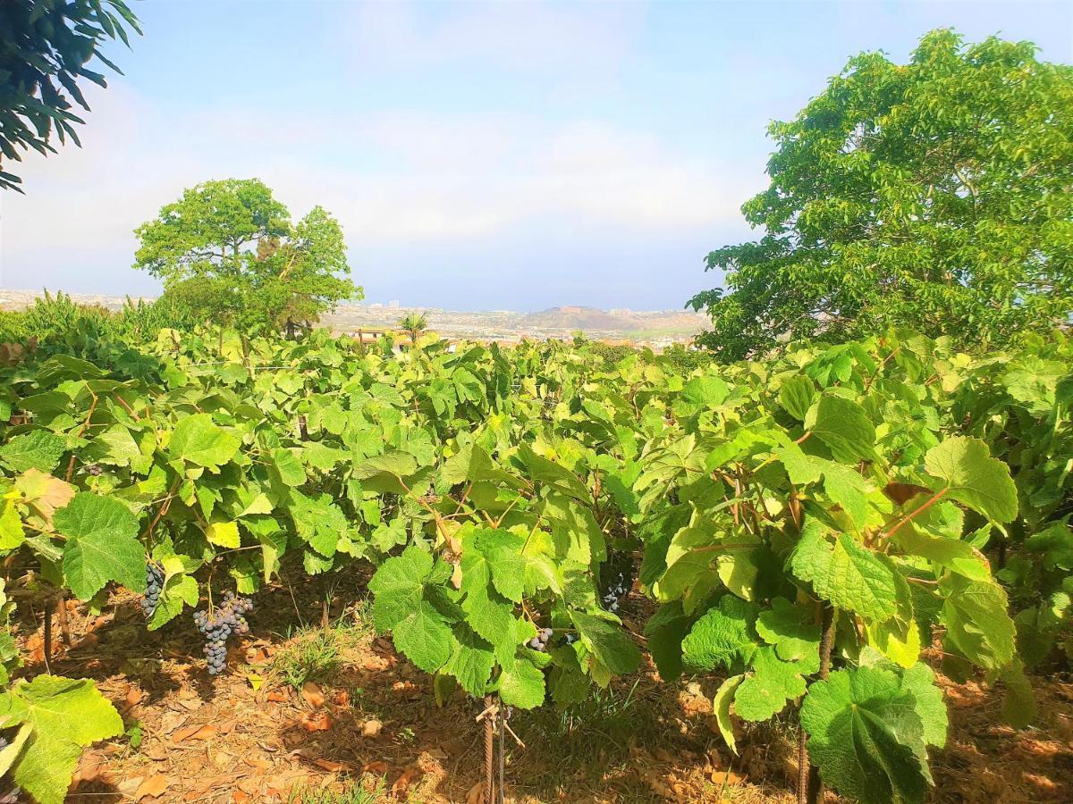 Casa En Finca Ecologica - Wifi ラ・オロタバ エクステリア 写真