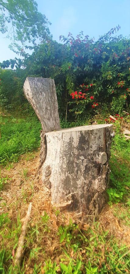 Casa En Finca Ecologica - Wifi ラ・オロタバ エクステリア 写真