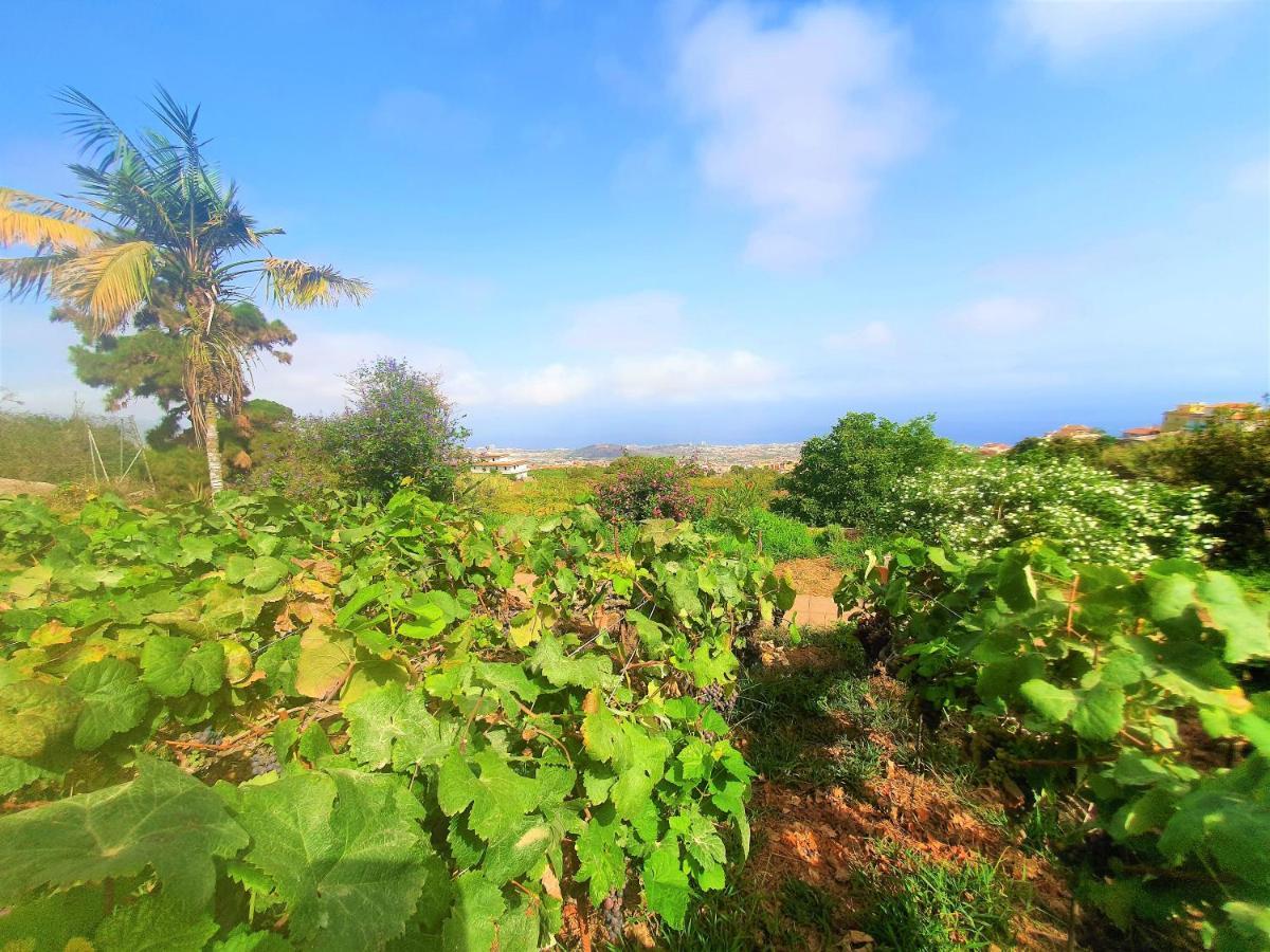 Casa En Finca Ecologica - Wifi ラ・オロタバ エクステリア 写真