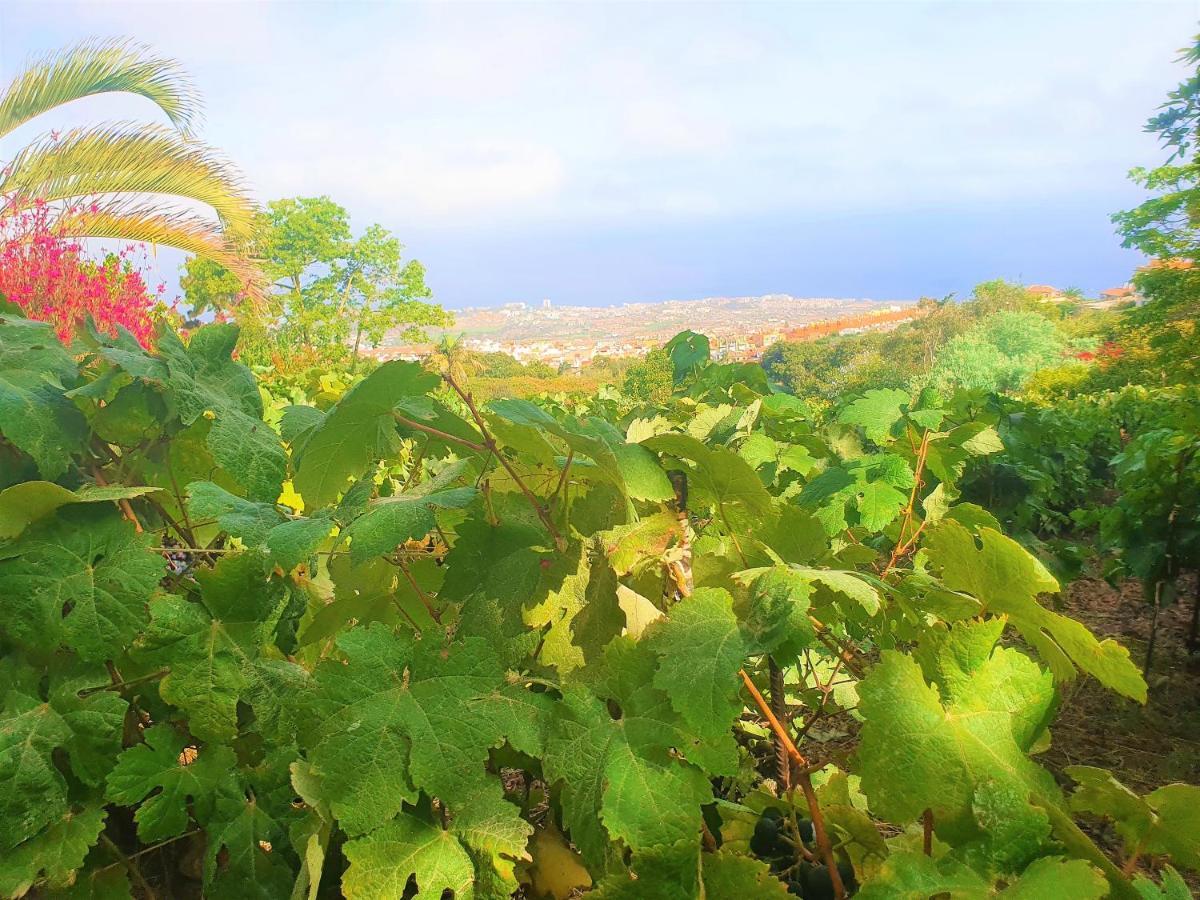 Casa En Finca Ecologica - Wifi ラ・オロタバ エクステリア 写真