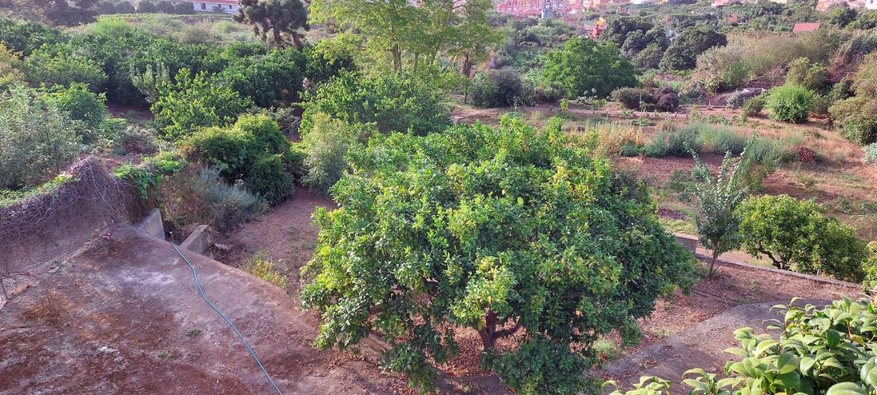 Casa En Finca Ecologica - Wifi ラ・オロタバ エクステリア 写真