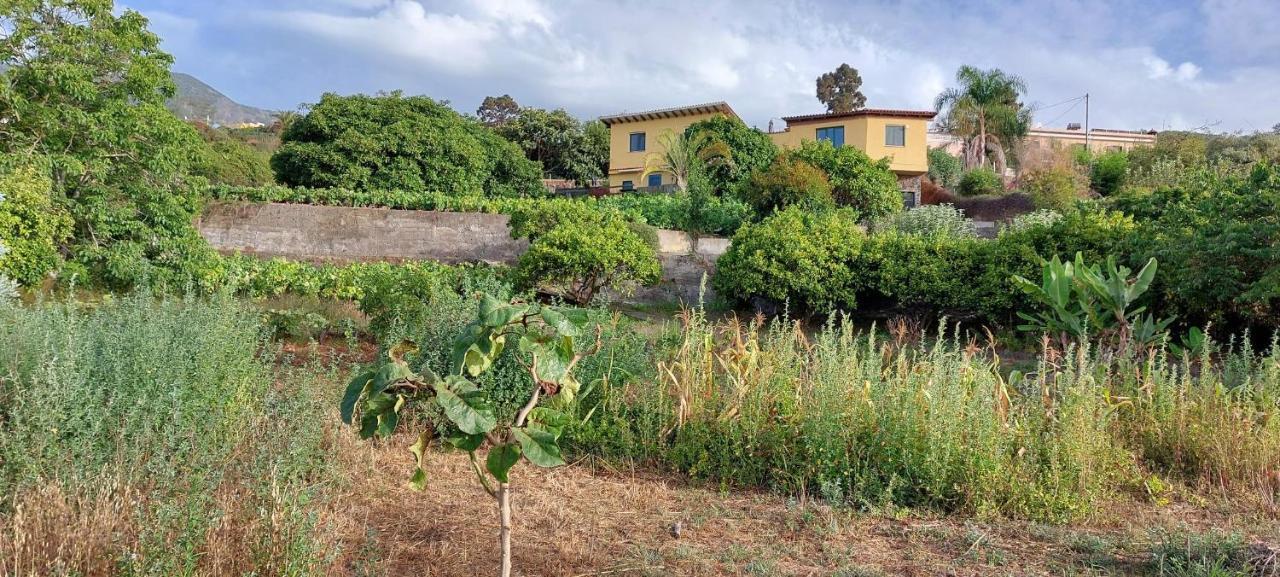 Casa En Finca Ecologica - Wifi ラ・オロタバ エクステリア 写真