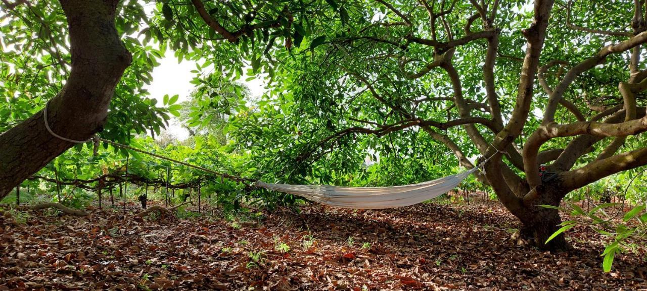Casa En Finca Ecologica - Wifi ラ・オロタバ エクステリア 写真